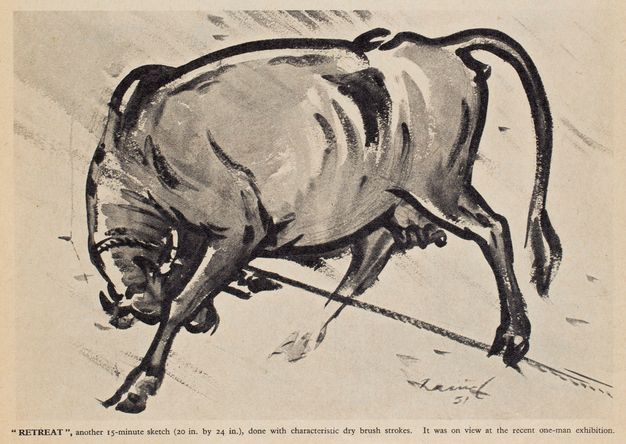 Drawing. Painted economically with black and grey strokes, a bull is pulled by a rope so his head bends sharply down between its front legs. Text below reads, “‘Retreat’, another 15-minute sketch (20 in. by 24 in.), done with characteristic dry brush strokes. It was on view at the recent one-man exhibition”.